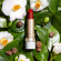 Clarins Rouge Lipstick Shine