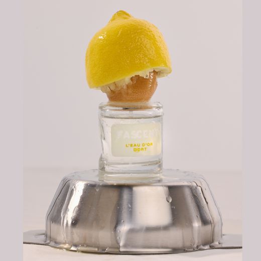 FASCENT L'eau D'or Dort