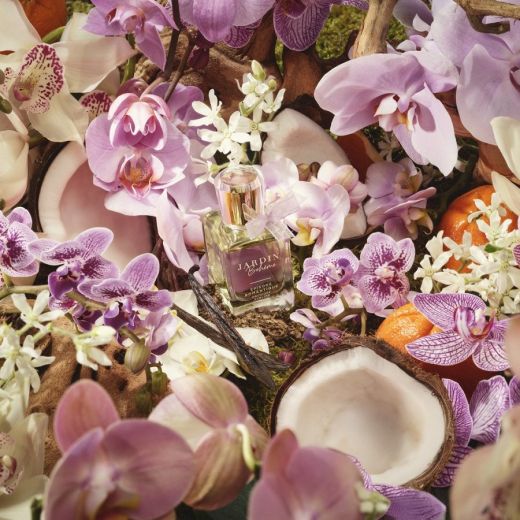 JARDIN BOHÈME Épisode Romantique Orchidée Sublime