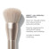 MORPHE Riches Come True 5-Piece Brush & Tool Set