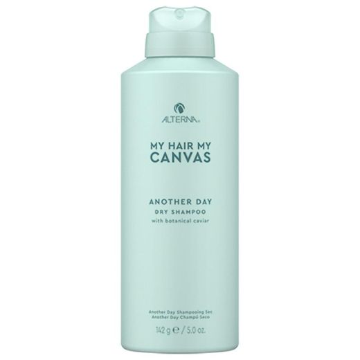 ALTERNA My Hair My Canvas Another Day Dry Shampoo