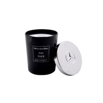 MERCEDES-BENZ Candle Fig Tree