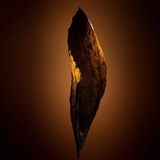 TOM FORD Tobacco Chocolat Eau De Parfum 