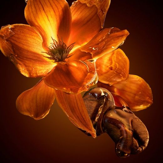 HUGO BOSS The Scent EDP Intense 