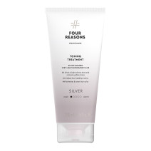 Four Reasons Color Mask Toning Treatment Silver