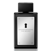 BANDERAS The Secret