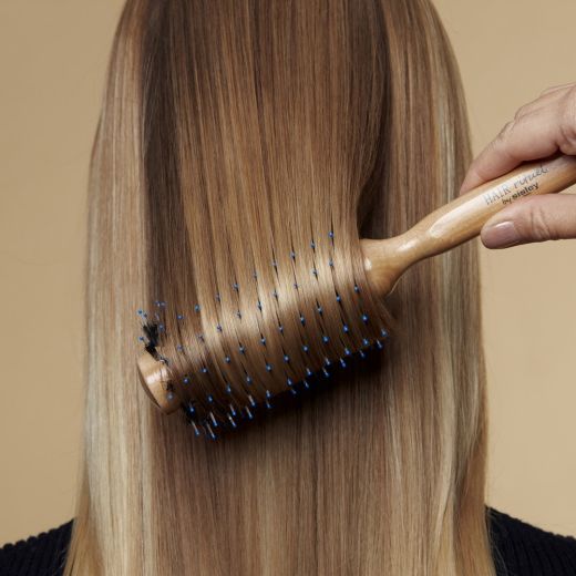 HAIR RITUEL BY SISLEY S The Blow Dry Brush N°2 