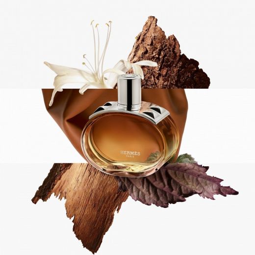 HERMES Barenia Intense