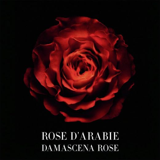 GIORGIO ARMANI Armani Prive Rose D'arabie