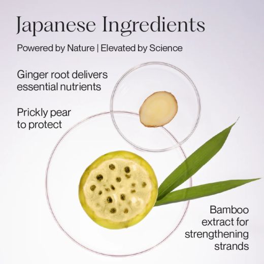 NATURELAB. TOKYO Perfect Repair Conditioner