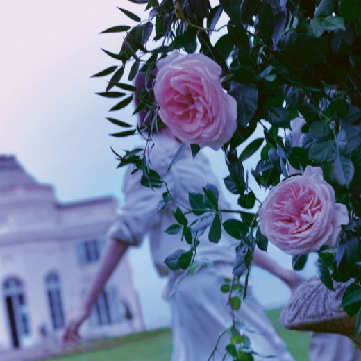 MAISON MARGIELA Replica Up At Dawn