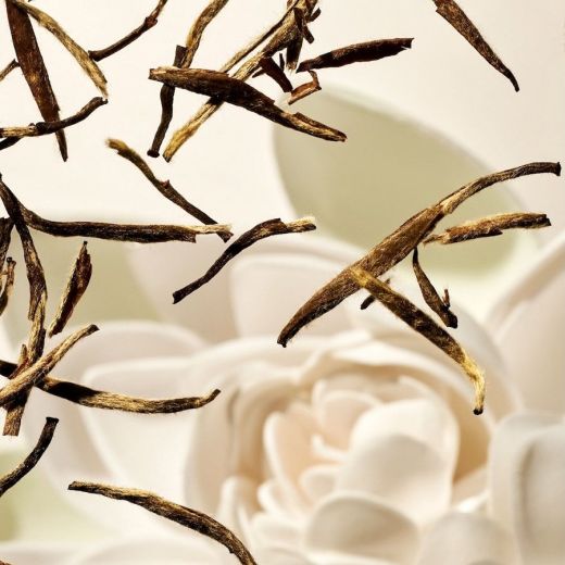 RITUALS The Ritual of Karma After Sun Gel