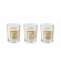 Douglas Collection Winter Express Mini Candle Set  