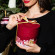 DOUGLAS COLLECTION Seasonal Winter Wonder Pure Wellness Set 