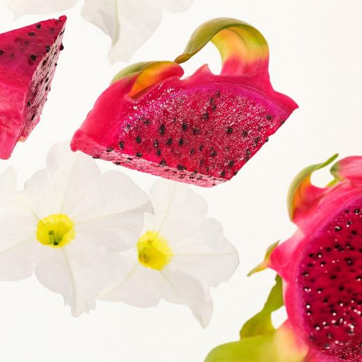 SOL DE JANEIRO Make It A Party