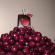 LANCÔME La Vie Est Belle L'Elixir Very Cherry