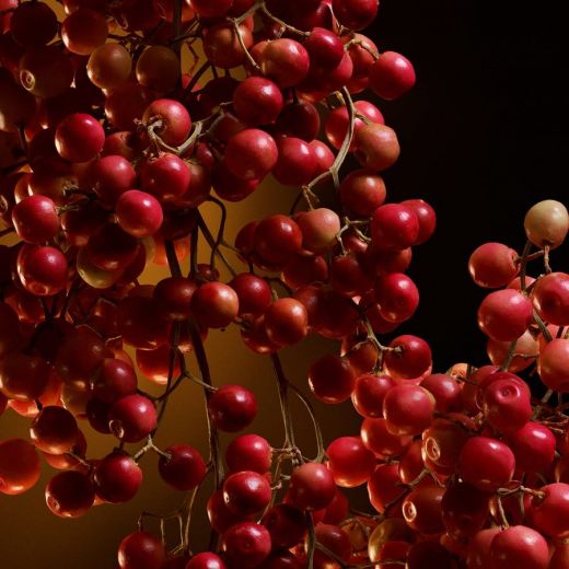 DOLCE&GABBANA The One Eau De Parfum Intense