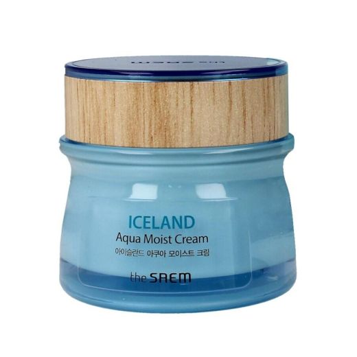 THE SAEM Iceland Aqua Moist Cream