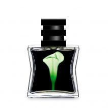 SG79|STHLM No22 Green Eau de Parfum
