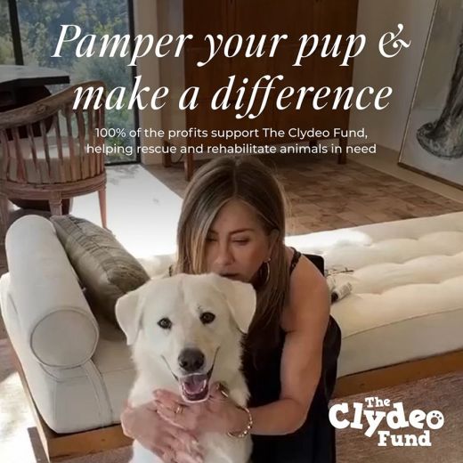 LOLAVIE Puppy Love Dog Shampoo