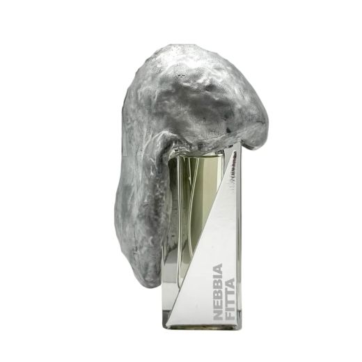 FILIPO SORCINELLI Nebbia Fitta