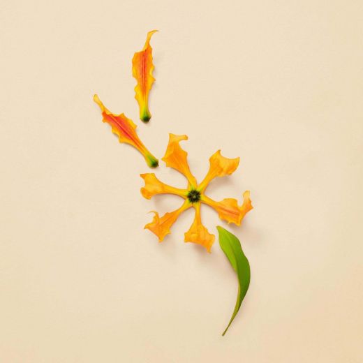 Gucci Guilty Eau de Parfum Intense Pour Femme