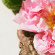 CHLOÉ Rose Naturelle Intense 