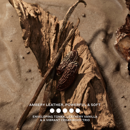 BURBERRY Hero Elixir de Parfum