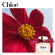 CHLOÉ L’Eau De Parfum Intense