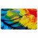REVOLUTION MAKE-UP Forever Flawless Bird of Paradise