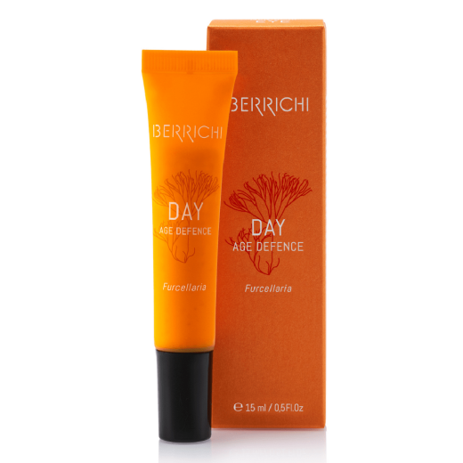 BERRICHI Day Age Defence 