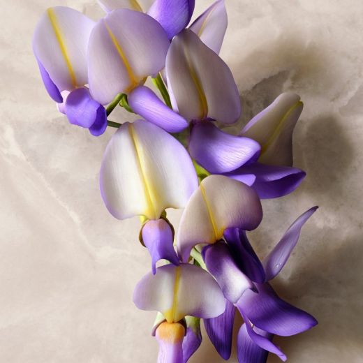 GUCCI Guilty Absolu De Parfum