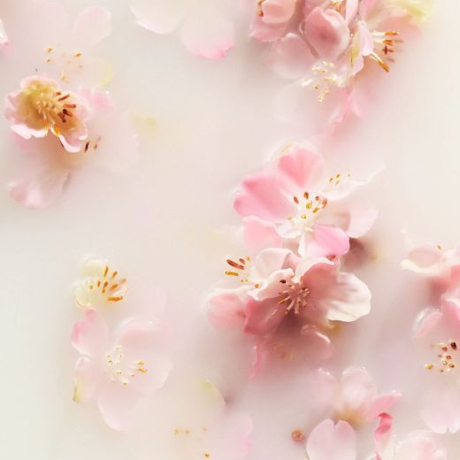 RITUALS Sakura Hand Balm 