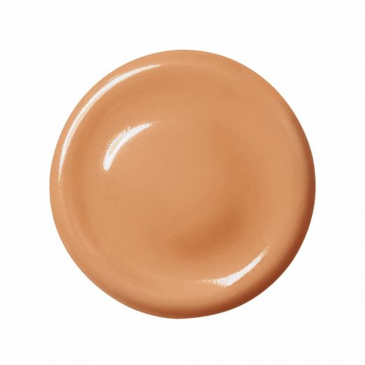 ANASTASIA BEVERLY HILLS The Porefessional Foundation