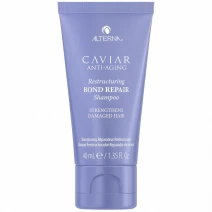 ALTERNA Restoring Shampoo