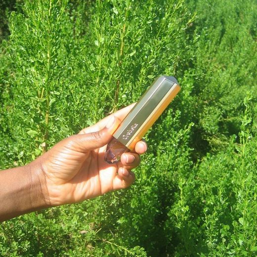 OREBELLA Travel Case For 10 ml