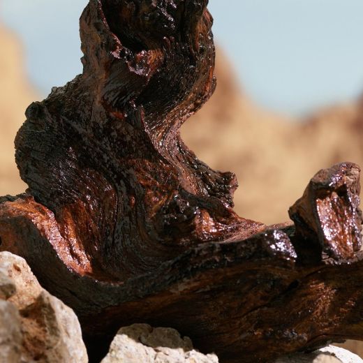 DOLCE&GABBANA K Elixir