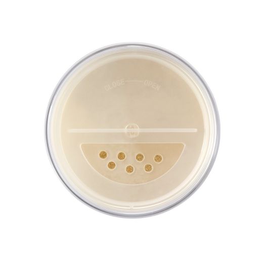 ISADORA The Loose Setting Translucent Powder