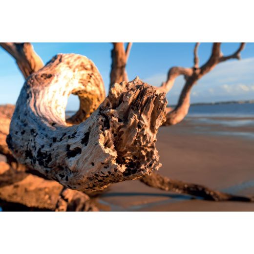 DURANCE Home Fragrances Driftwood