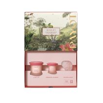 Payot Roselift Set 