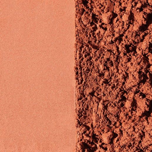 BY TERRY Tea To Tan Powder Blush 