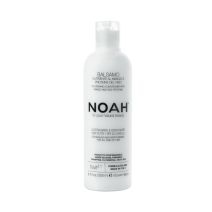 NOAH Nourishing Conditioner with Mango and Rice Proteins 