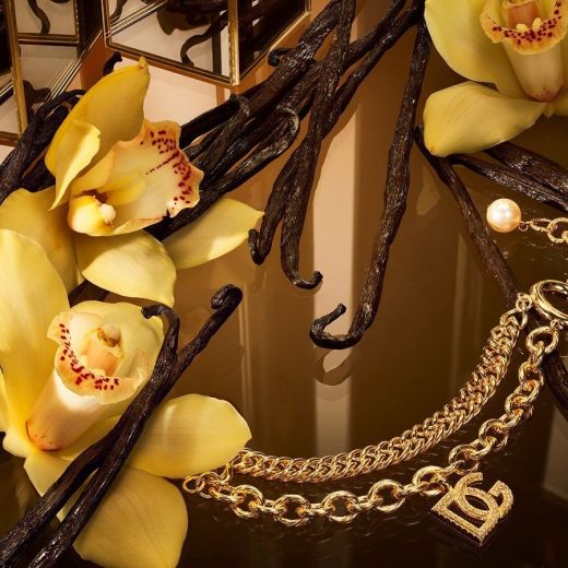 DOLCE&GABBANA The One