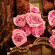 DOLCE&GABBANA The One Gold