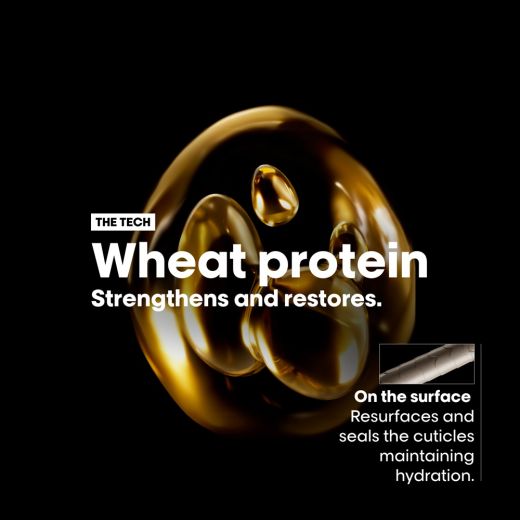 L'ORÉAL PROFESSIONNEL PARIS Absolut Repair Duo Gift Set 