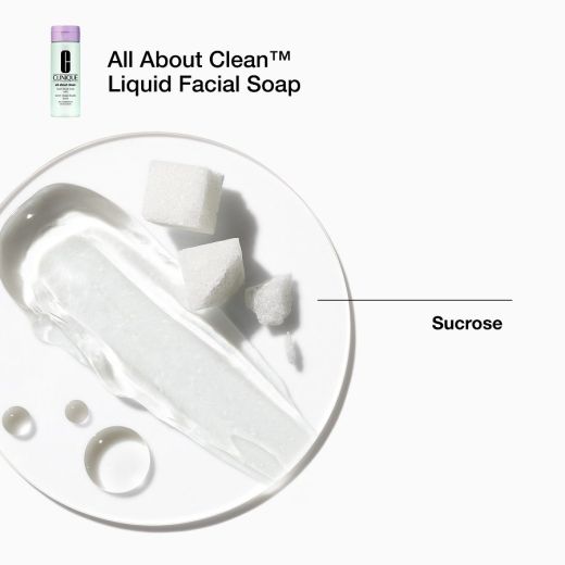 CLINIQUE Great Skin Everywhere Holiday Set 