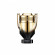 RABANNE Invictus Parfum Elixir