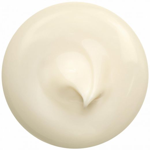 Shiseido Benefiance NutriPerfect Day Cream SPF 15