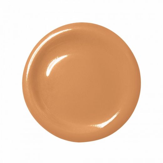 ANASTASIA BEVERLY HILLS The Porefessional Foundation