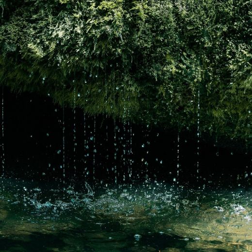 MADARA Deep Moisture Night Cream 